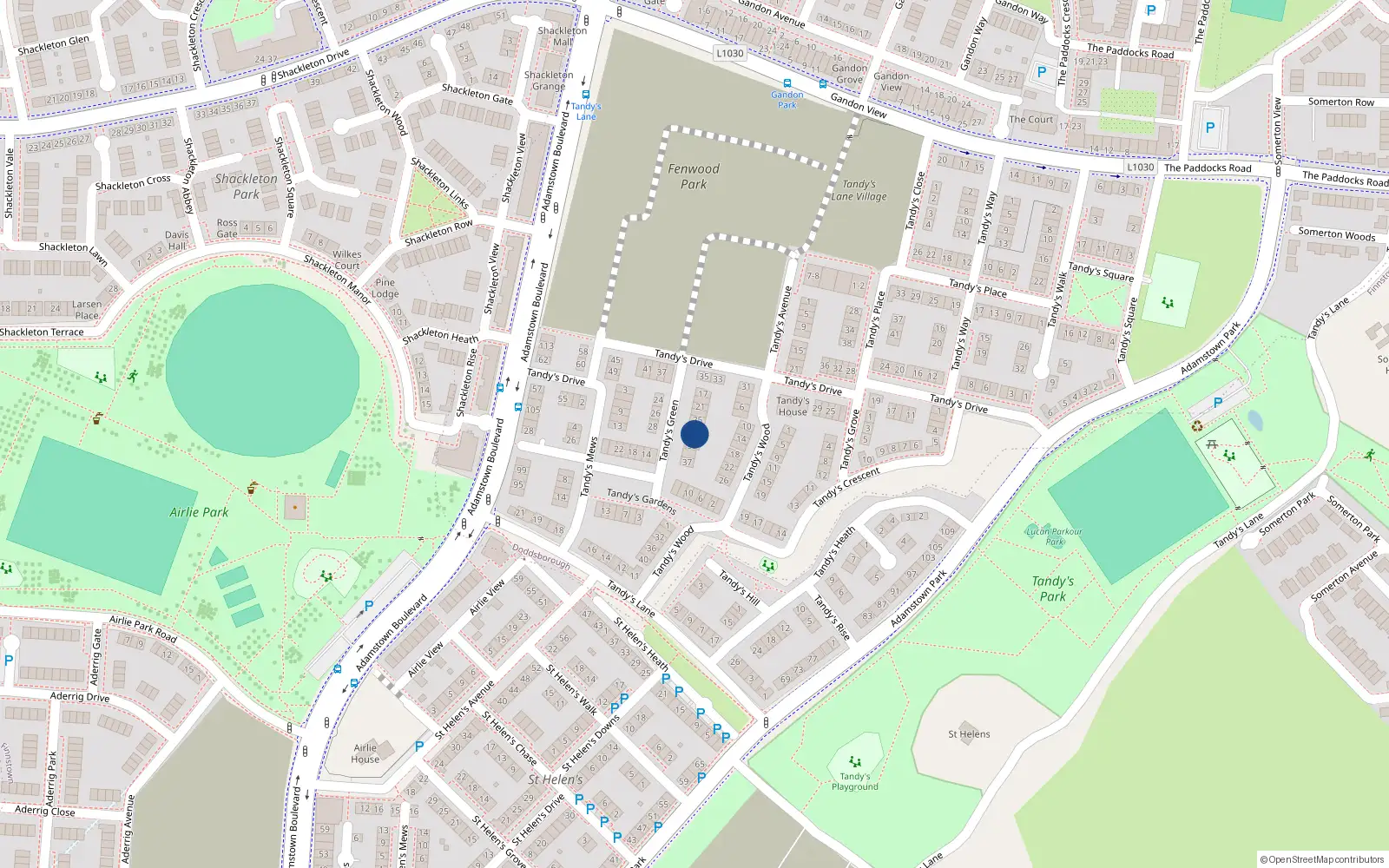 Overhead map showing the location of 29 Tandy's Green, Adamstown, Lucan