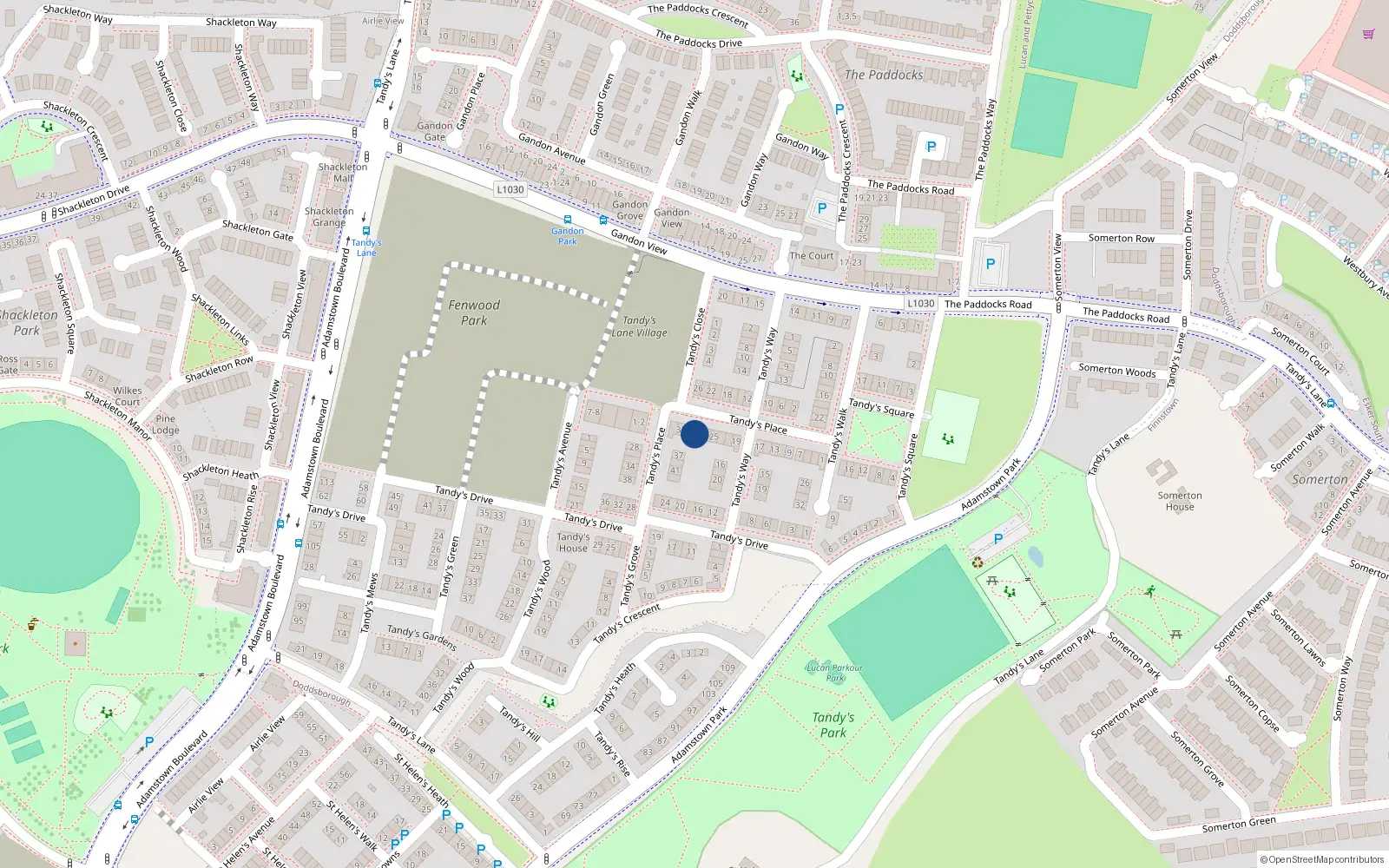 Overhead map showing the location of 29 Tandy's Place, Lucan