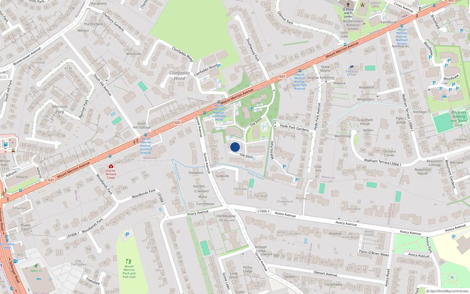Overhead map showing the location of 29 The Elms, Blackrock