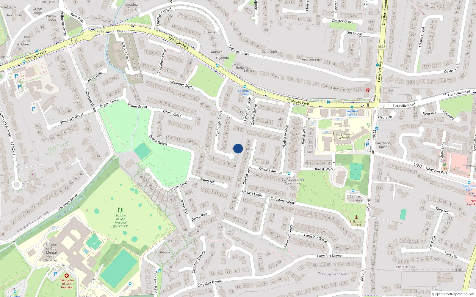 Overhead map showing the location of 29 Coppinger Glade, Dublin