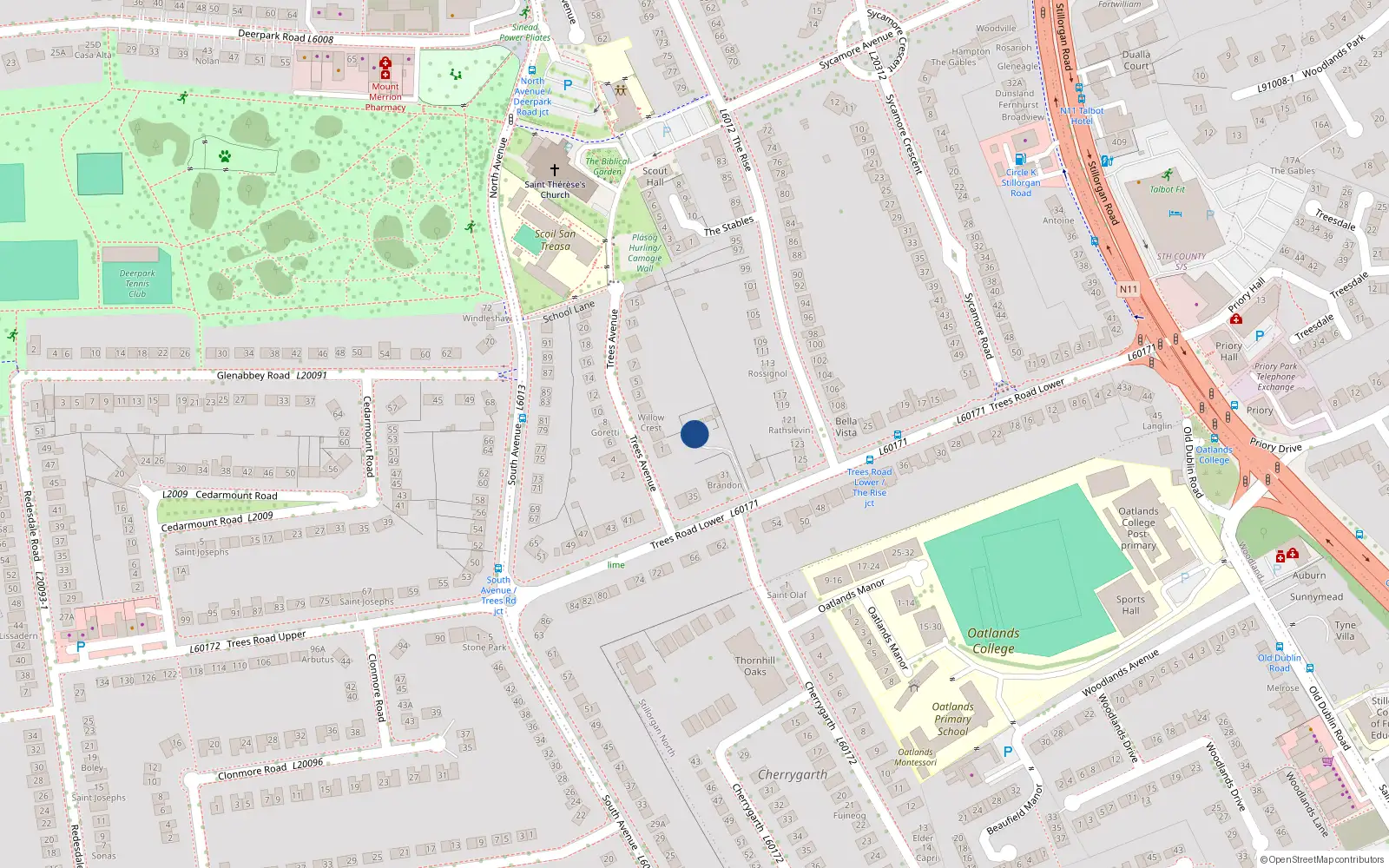 Overhead map showing the location of 29 Trees Road, Mount Merrion, Dublin