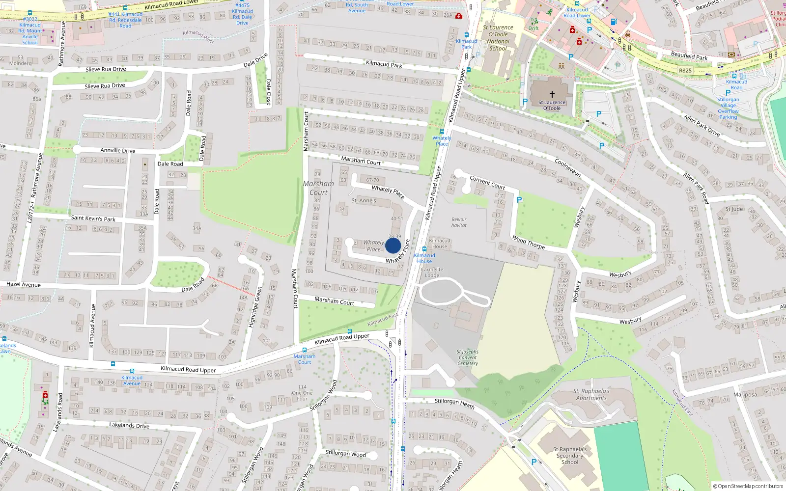 Overhead map showing the location of 29 Whatley Place, Kilmacud Road Upper, Stillorgan