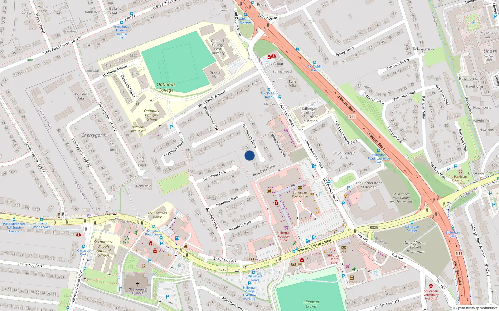 Overhead map showing the location of 29 Woodlands Drive, Co Dublin