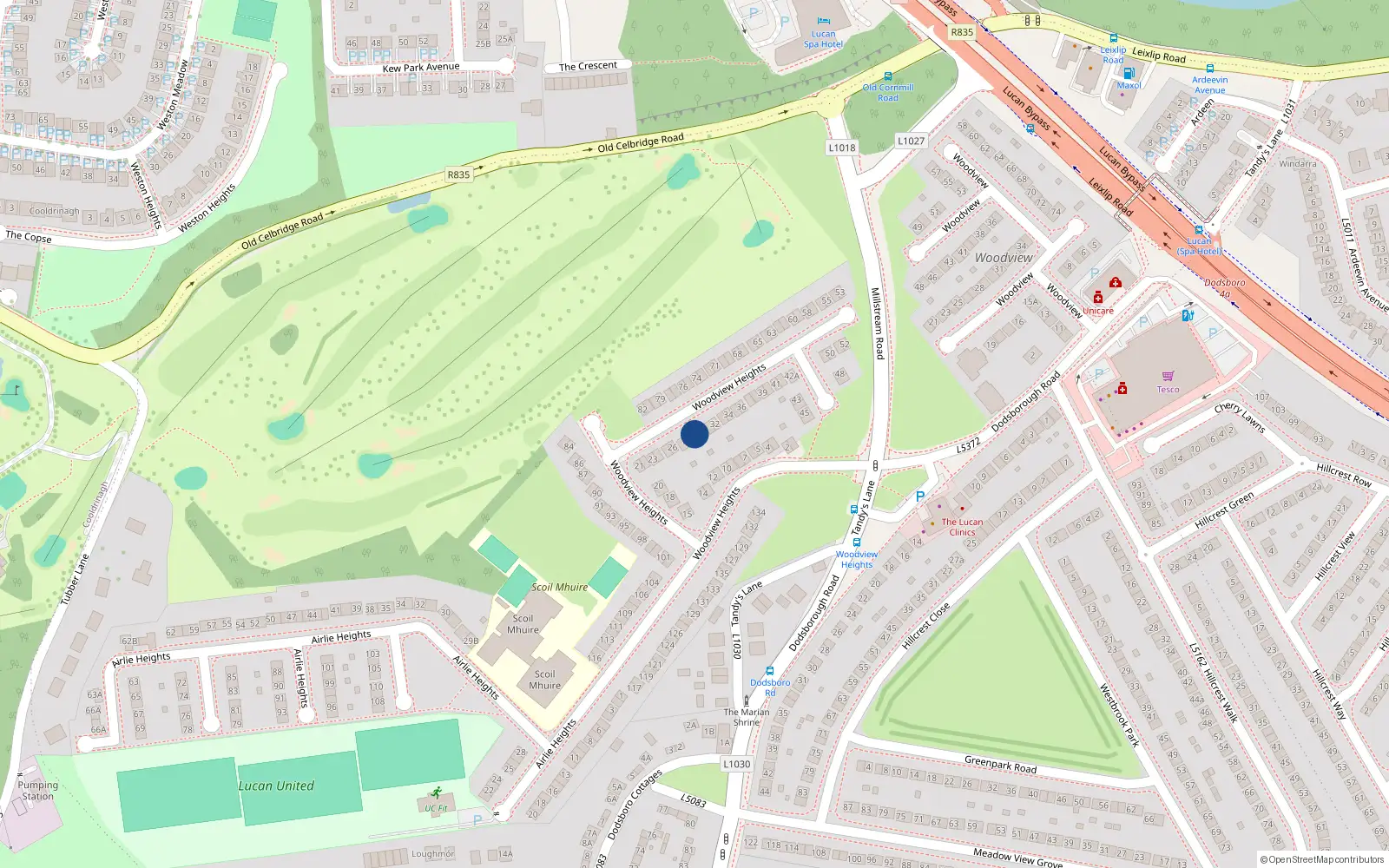 Overhead map showing the location of 29 Woodview Heights, Lucan