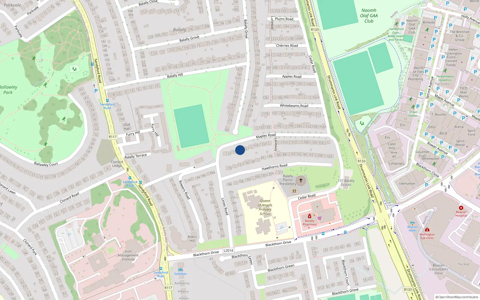 Overhead map showing the location of 294 Wedgewood Estate, Sandyford