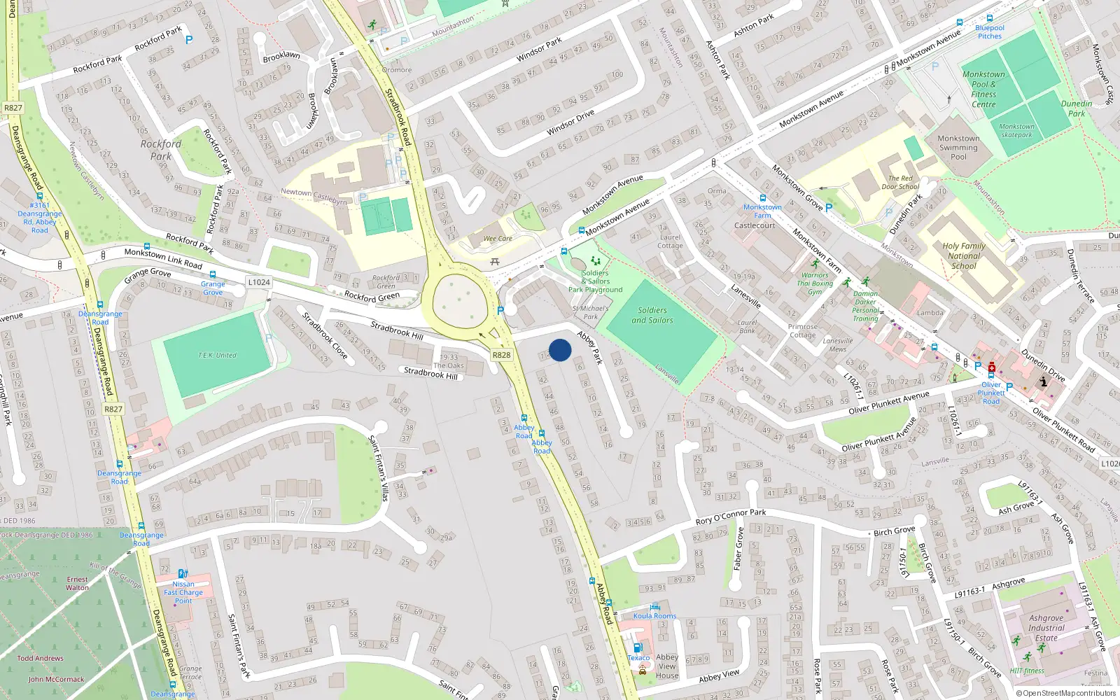 Overhead map showing the location of 3 Abbey Park, Monkstown