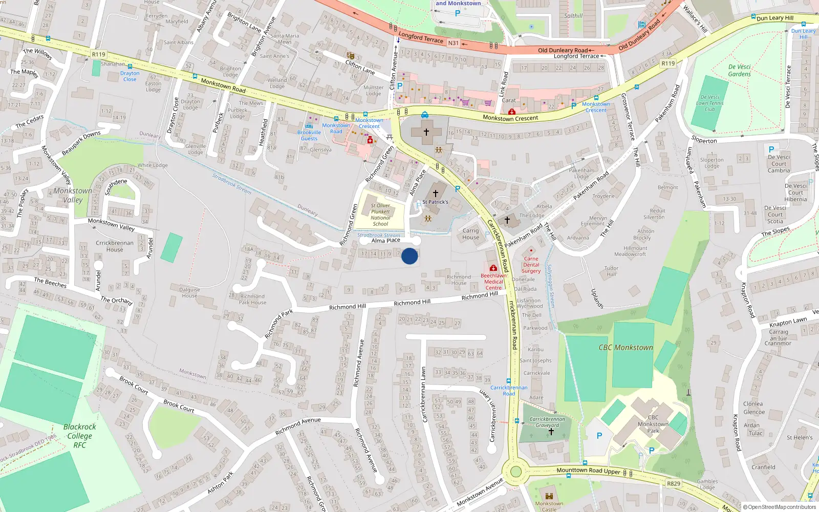 Overhead map showing the location of 3 Alma Park, Monkstown