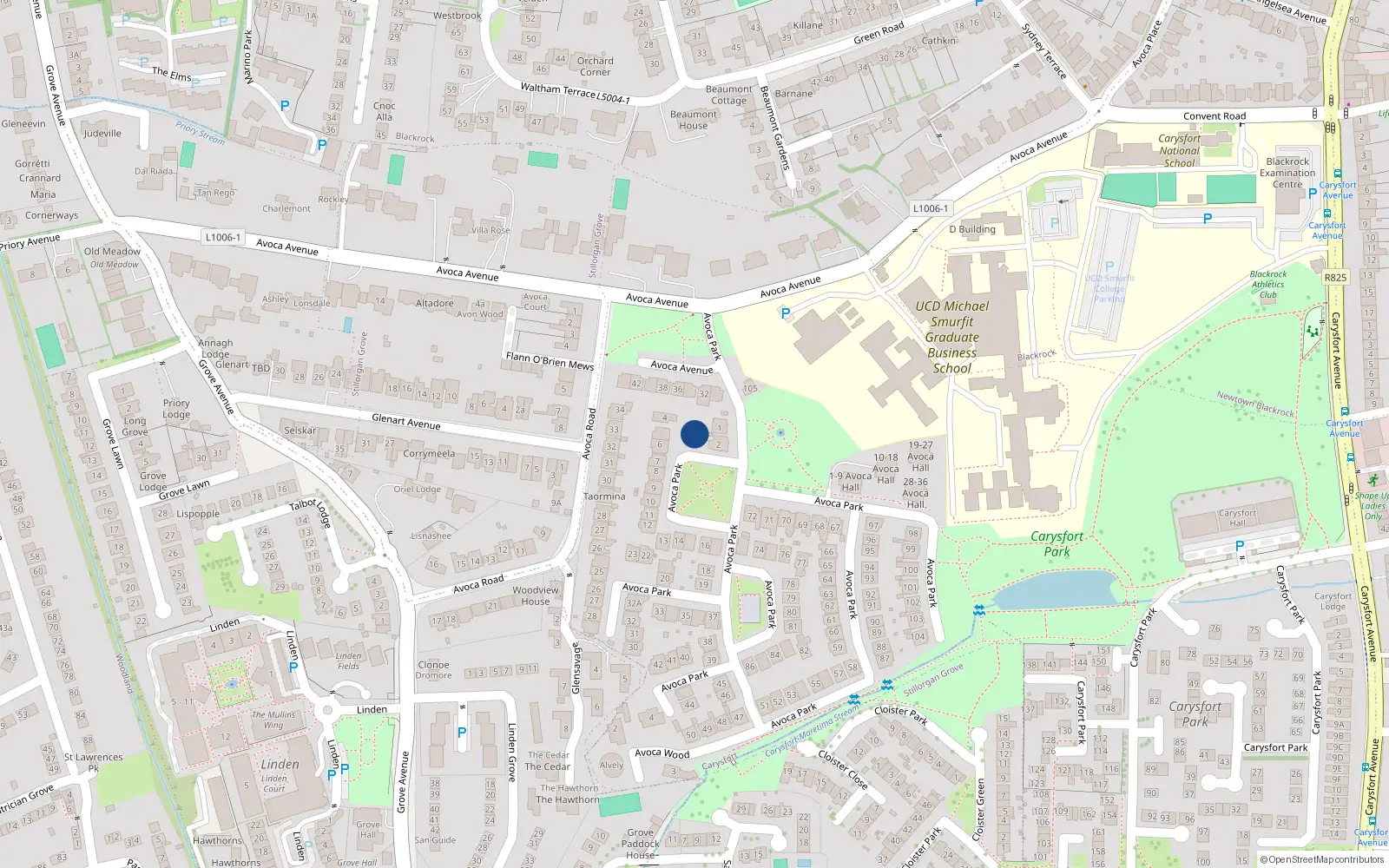 Overhead map showing the location of 3 Avoca Park, Blackrock