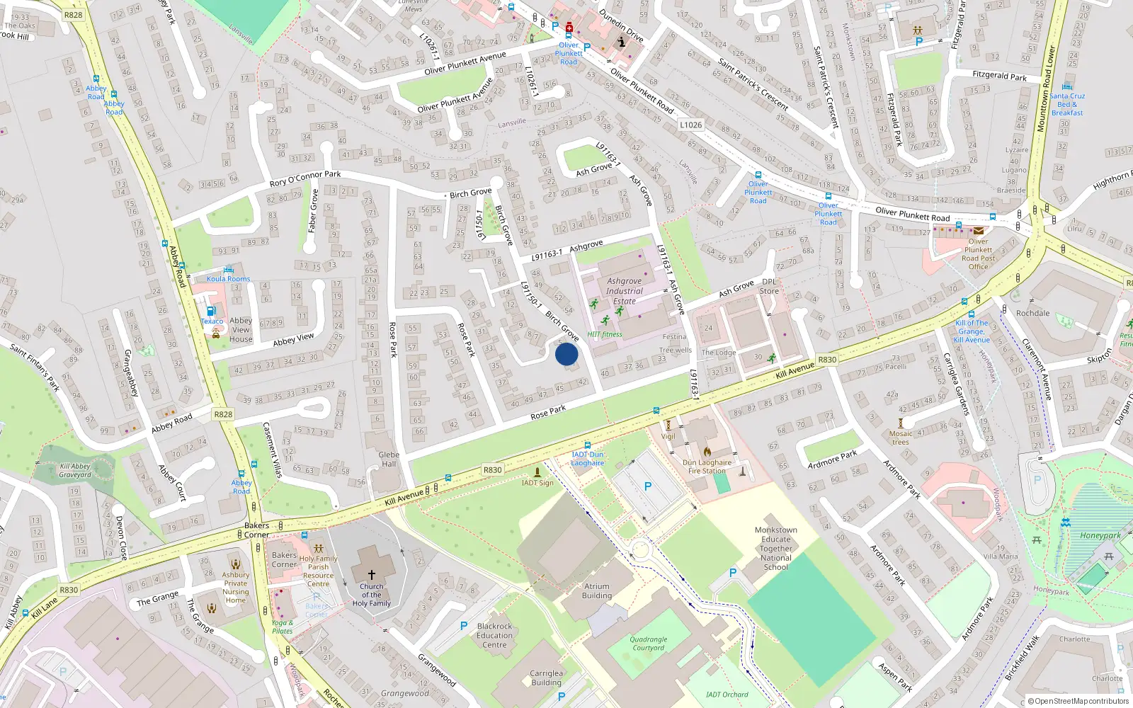 Overhead map showing the location of 3 Birch Grove, Dun Laoghaire