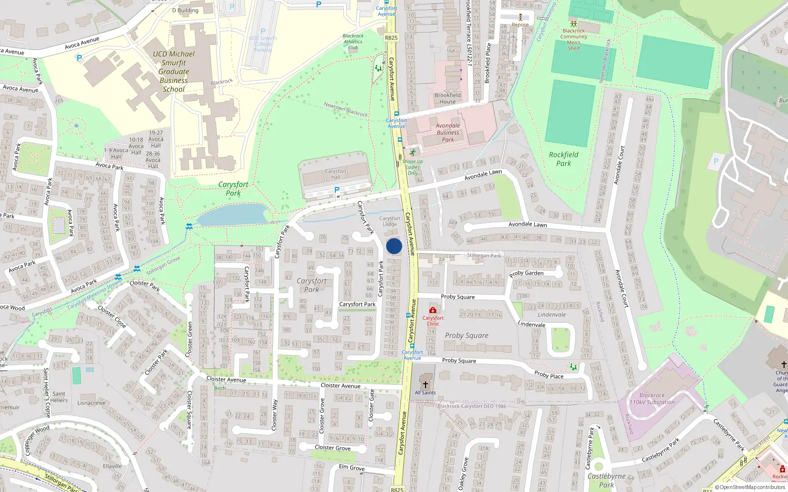 Overhead map showing the location of 3 Carysfort Park, Blackrock, Dublin