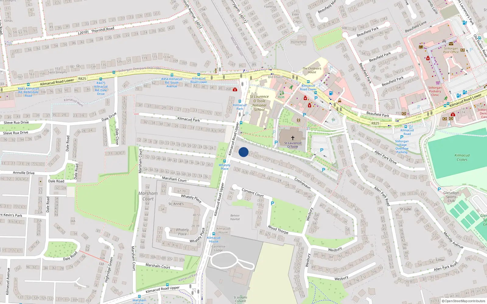 Overhead map showing the location of 3 Coolnevaun, Blackrock