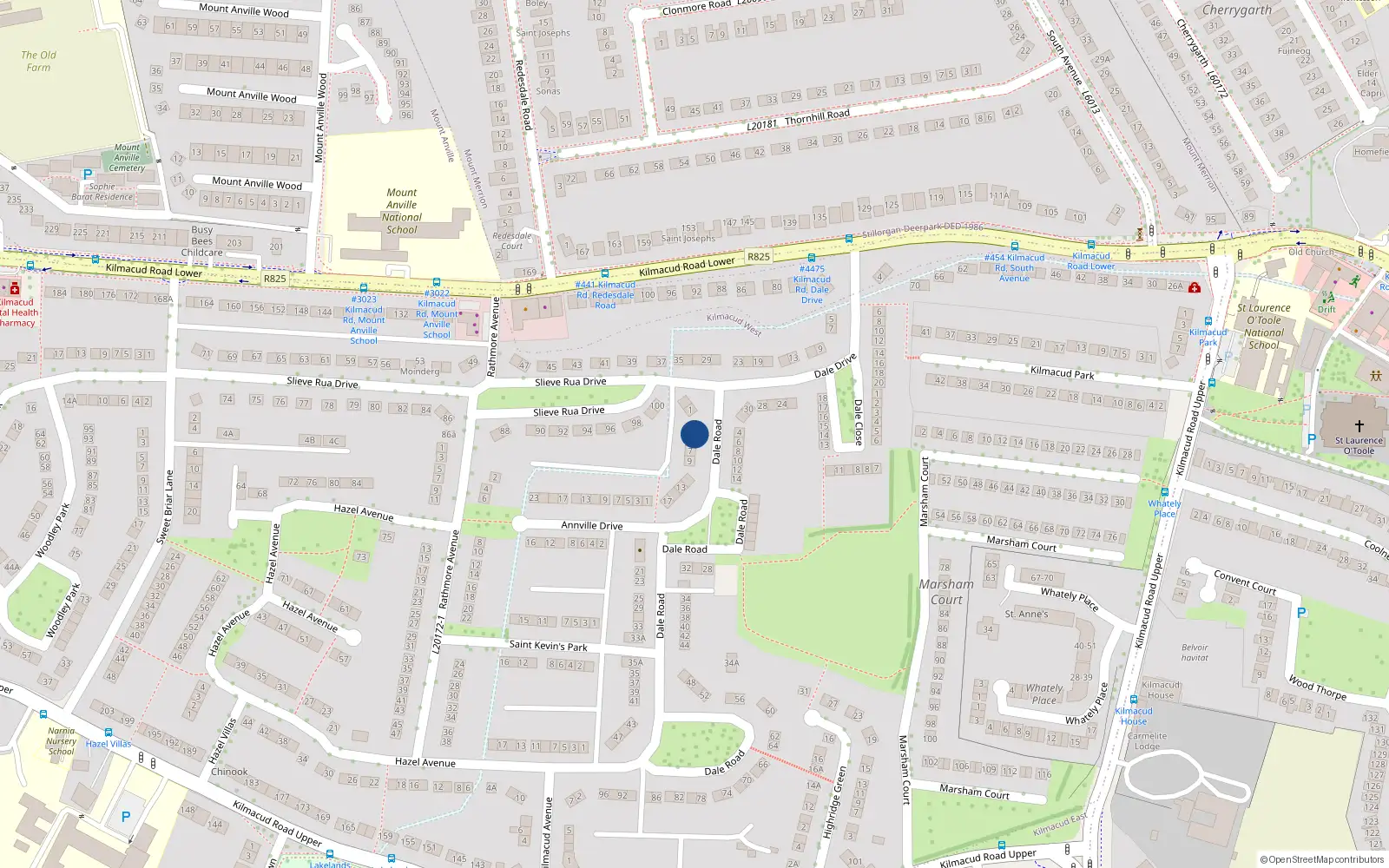 Overhead map showing the location of 3 Dale Road, Kilmacud, Blackrock