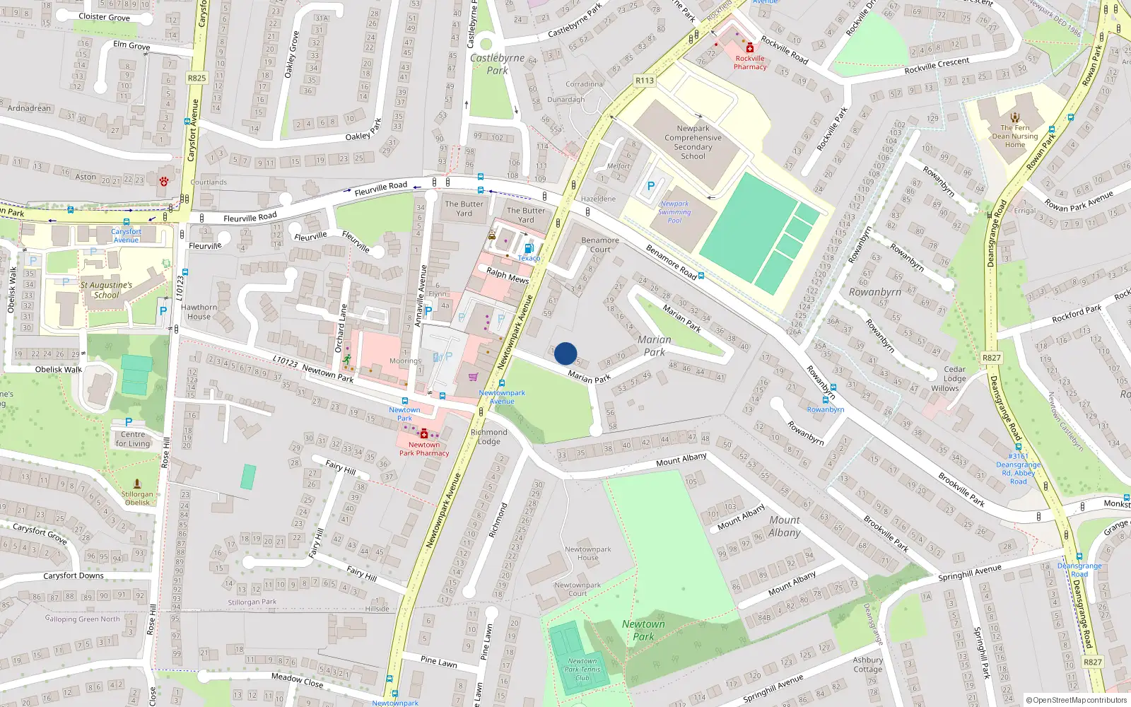 Overhead map showing the location of 3 Marian Park, Blackrock