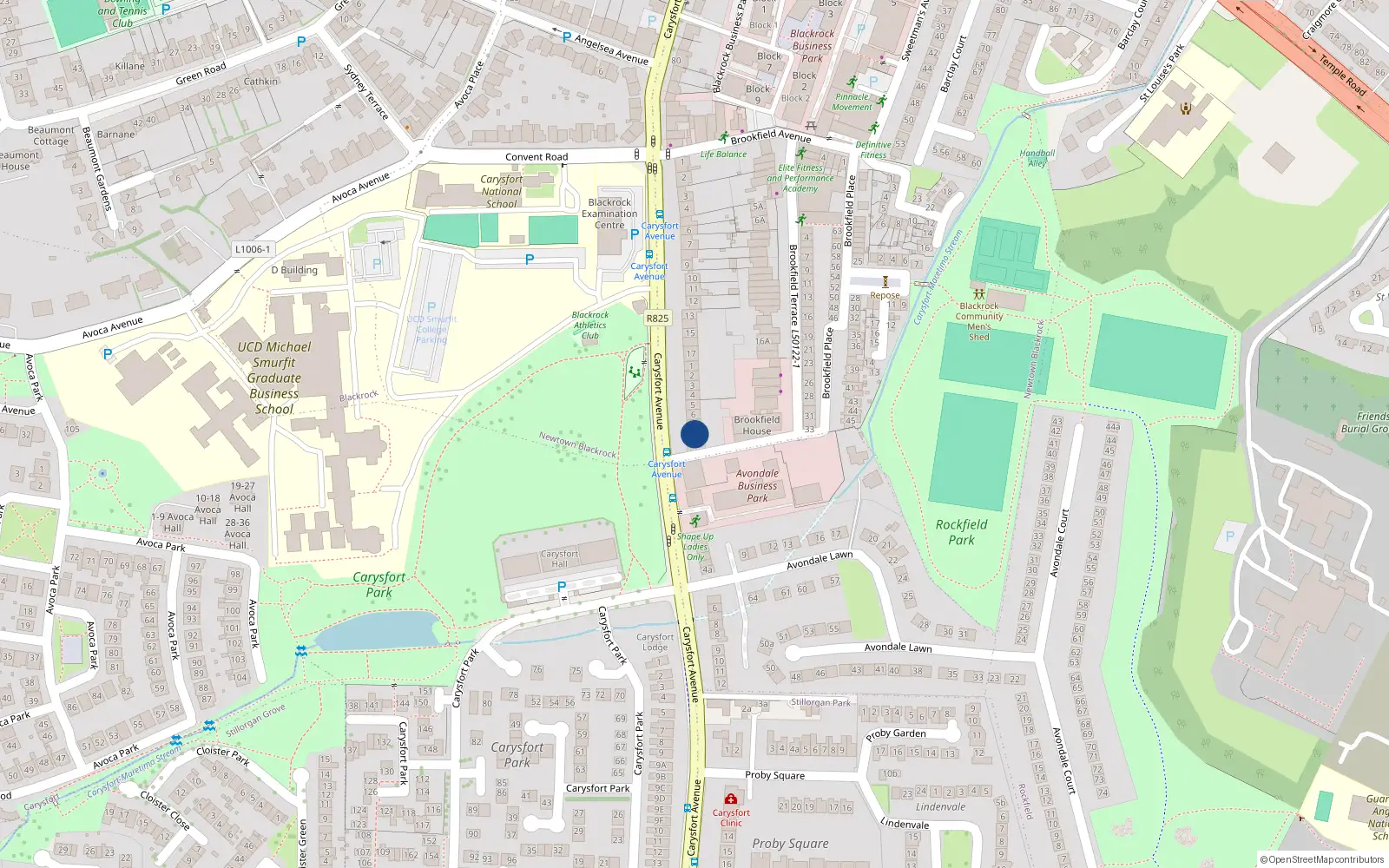 Overhead map showing the location of 8 Prince Edward Terrace Upper, Blackrock