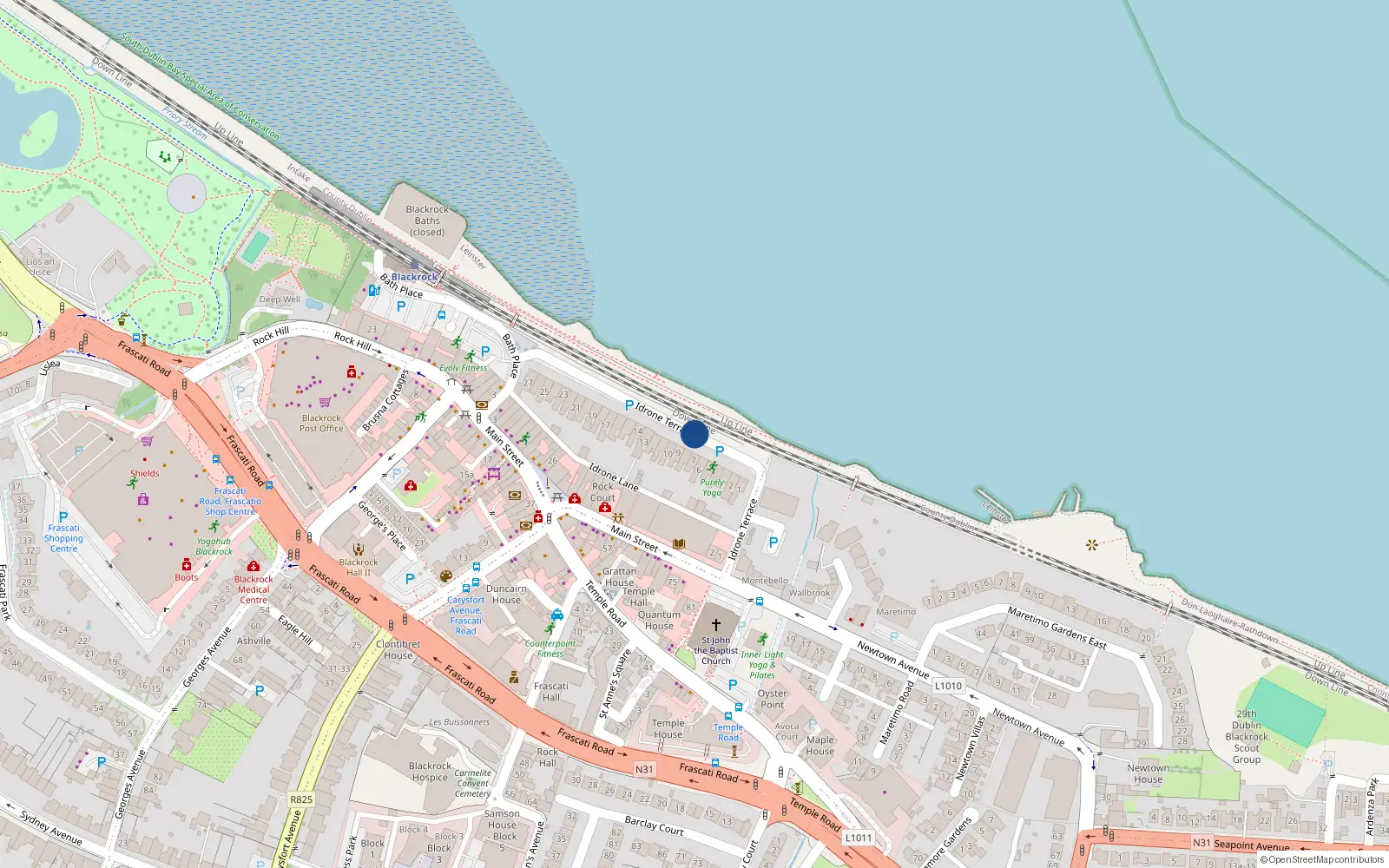 Overhead map showing the location of 3 Rockwell Cove, Idrone Terrace, Blackrock