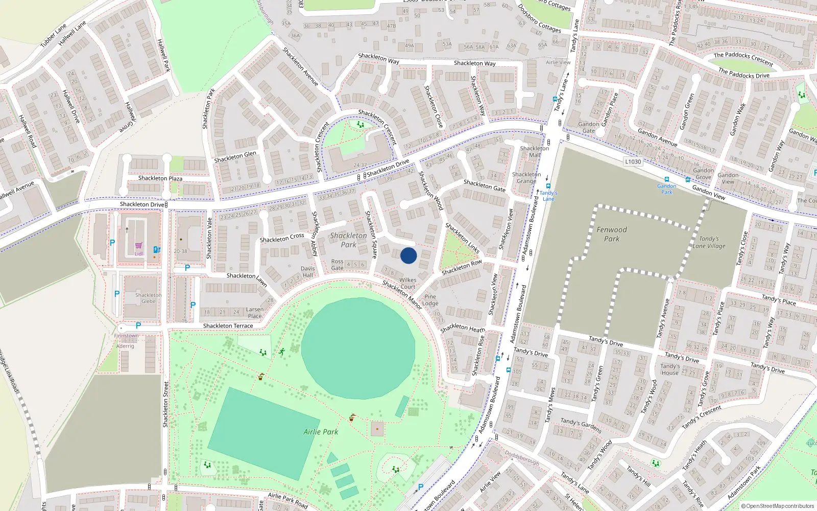 Overhead map showing the location of 3 Shackleton Glade, Lucan