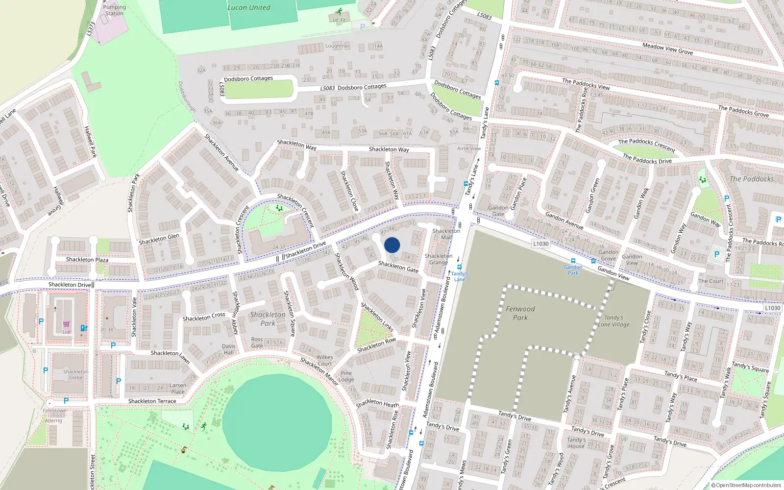 Overhead map showing the location of 3 Shackleton Lodge, Lucan