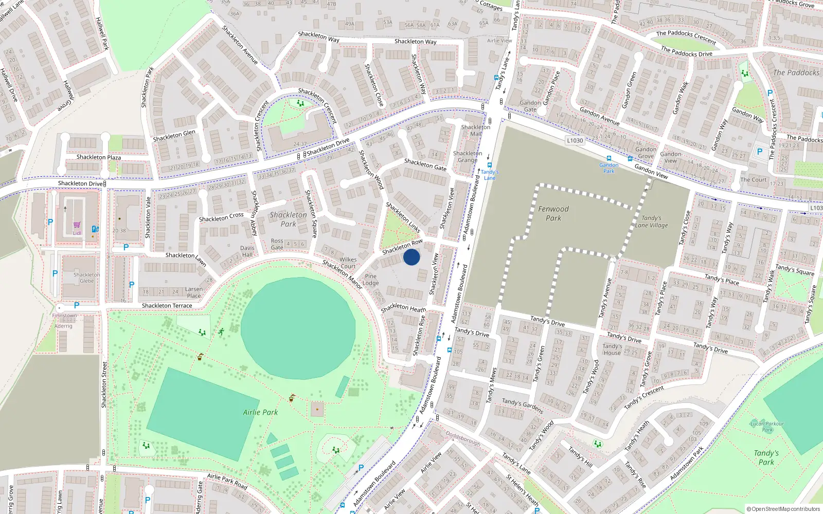 Overhead map showing the location of 3 Shackleton Row, Shackleton Park, Lucan