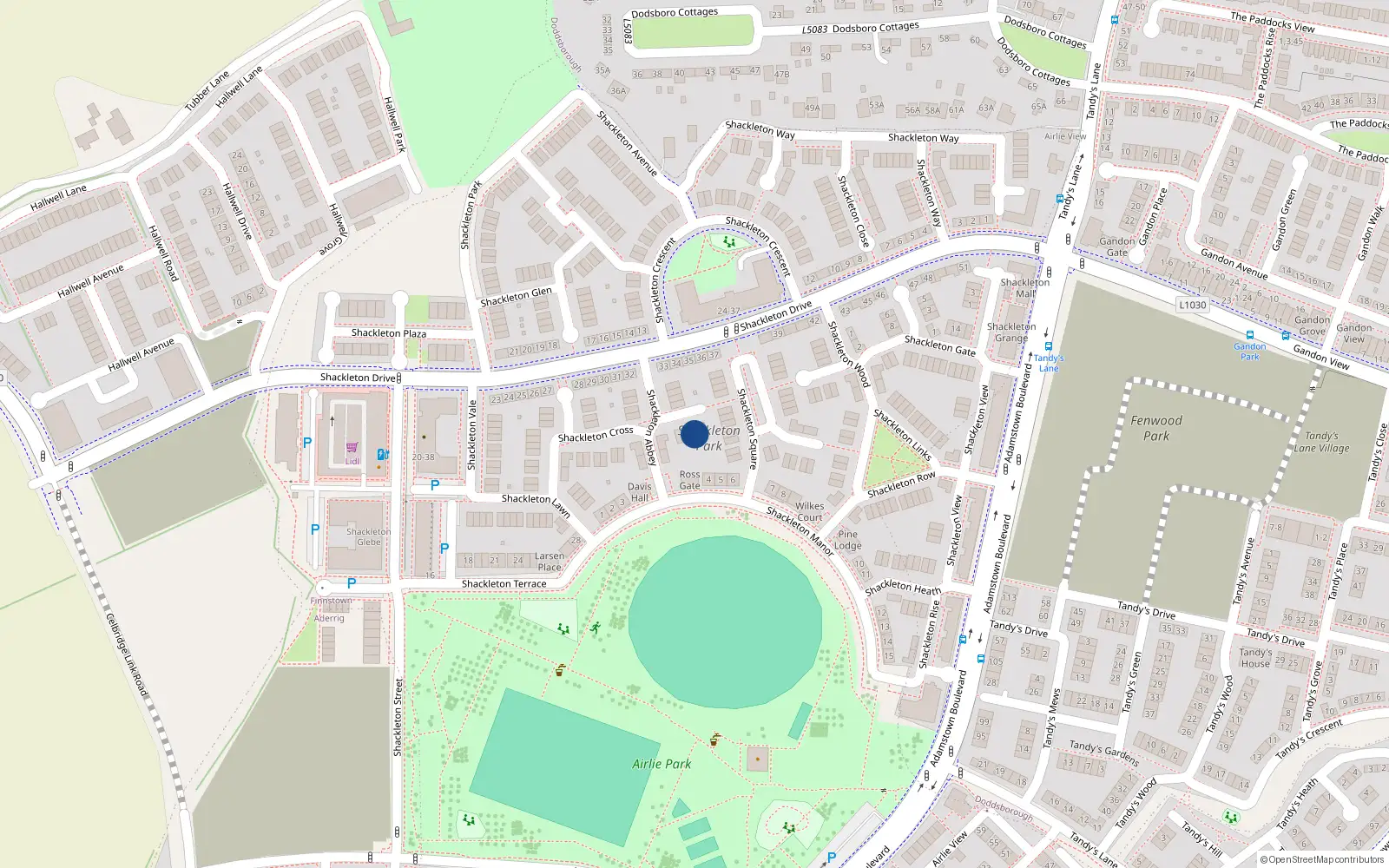 Overhead map showing the location of 3 Shackleton Well, Lucan