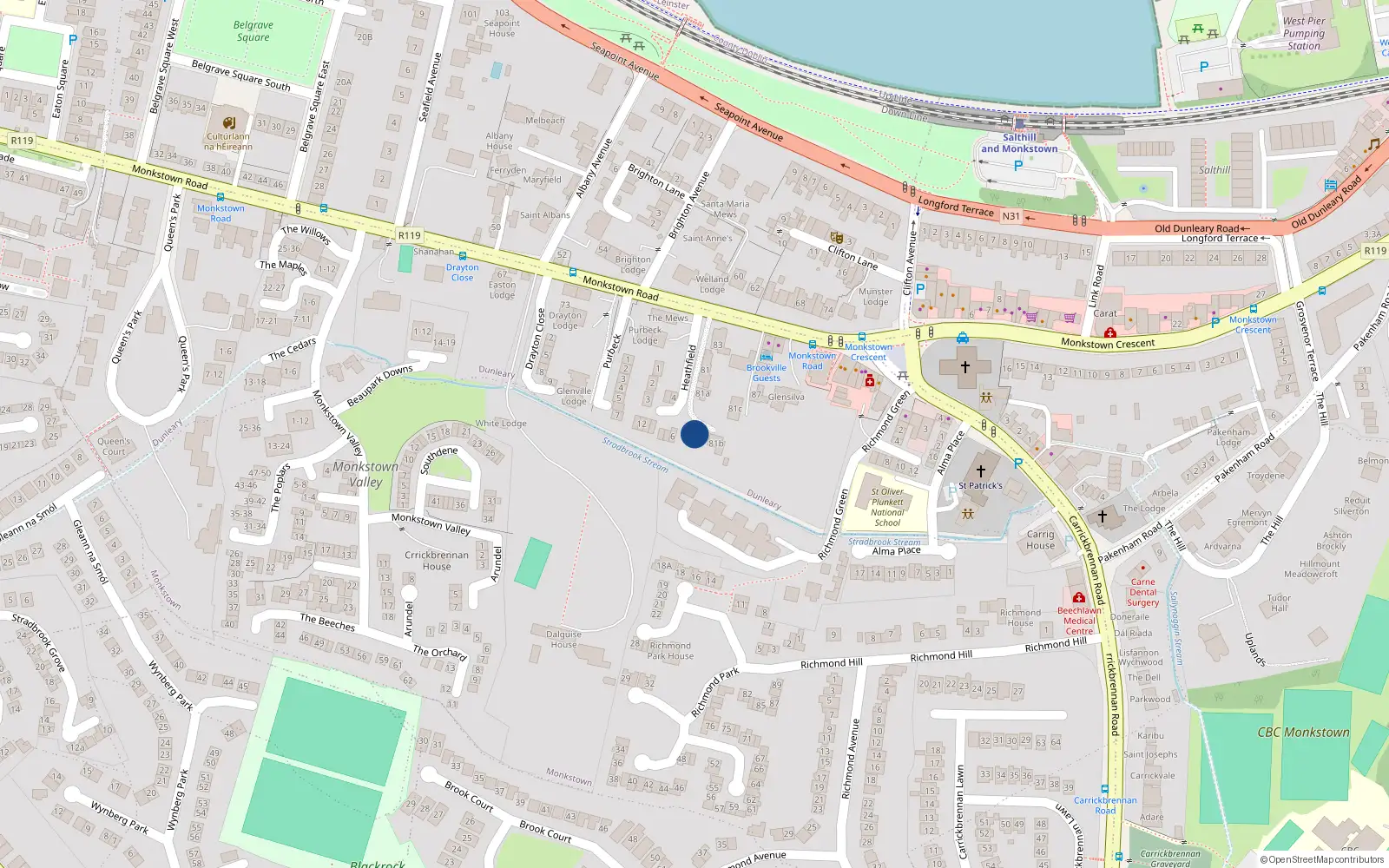 Overhead map showing the location of 3 Somerton, Monstown, Blackrock