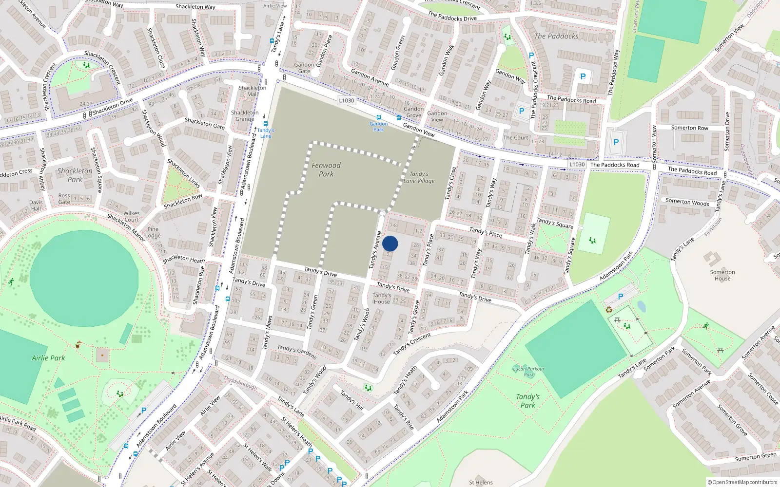 Overhead map showing the location of 3 Tandy's Avenue, Lucan