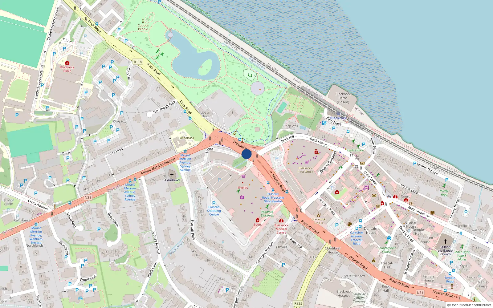 Overhead map showing the location of 3 the Willows, Rock Road, Blackrock
