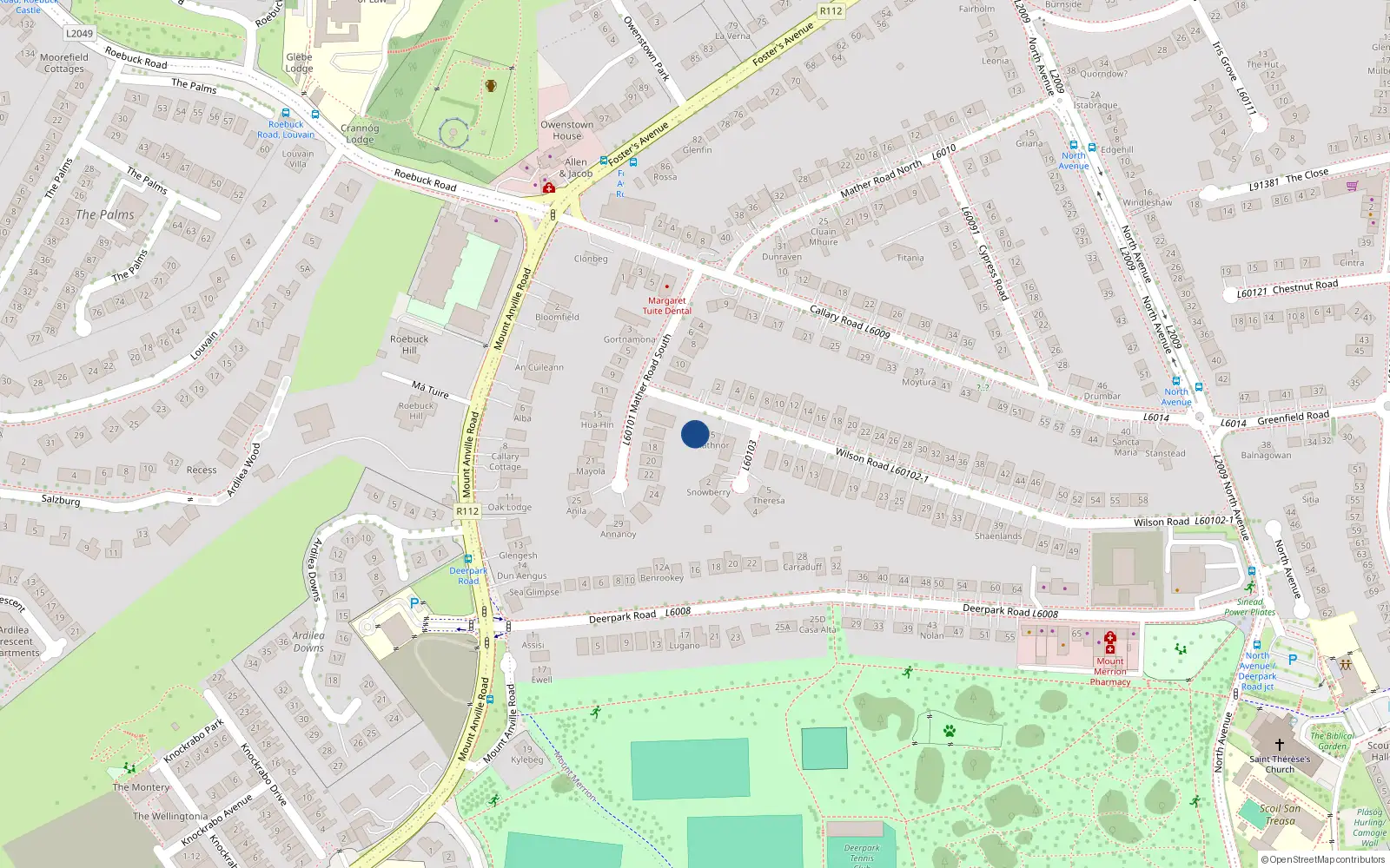 Overhead map showing the location of 3 Wilson Road, Mount Merrion, Dublin
