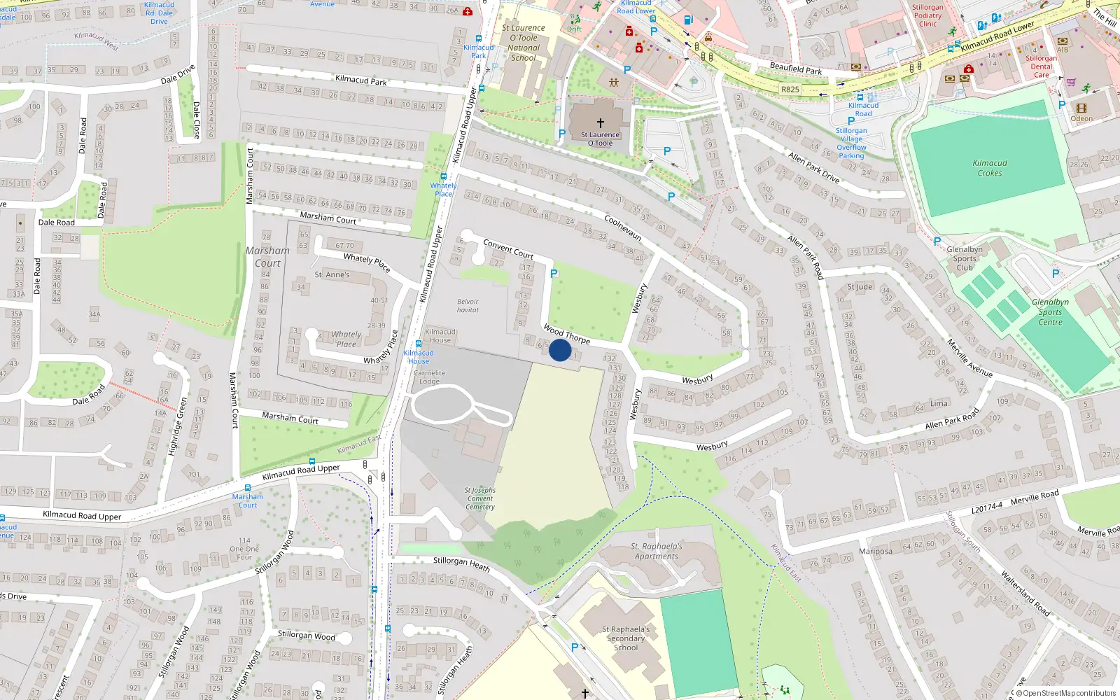 Overhead map showing the location of 3 Woodthorpe, Blackrock