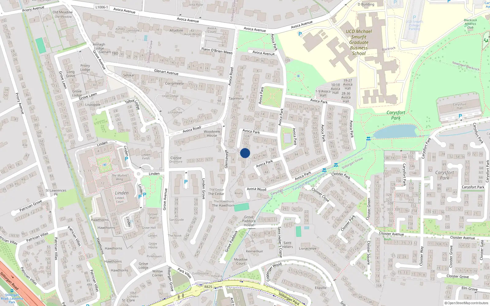Overhead map showing the location of 30 Avoca Park, Blackrock, Dublin