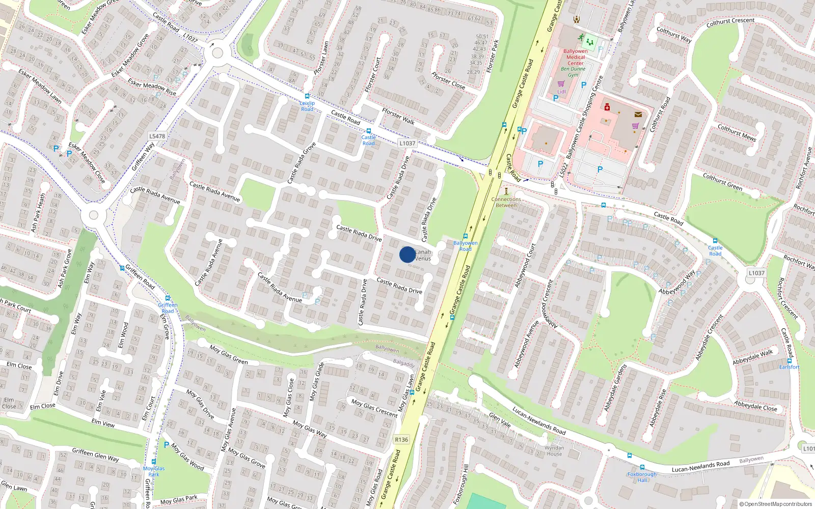 Overhead map showing the location of 30 Castle Riada Drive, Lucan