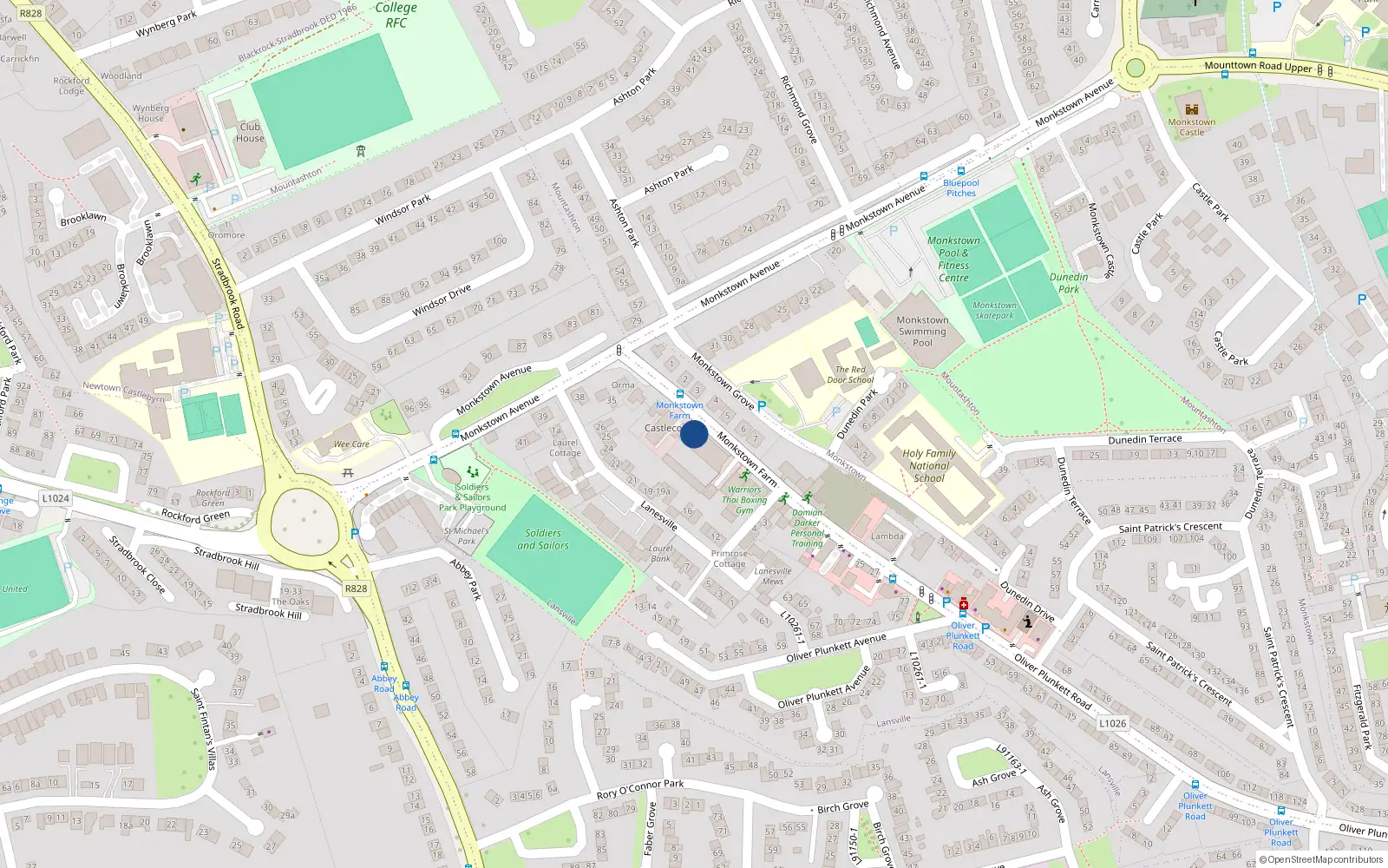 Overhead map showing the location of 30 Monkstown Manor, Monkstown Farm, Monkstown
