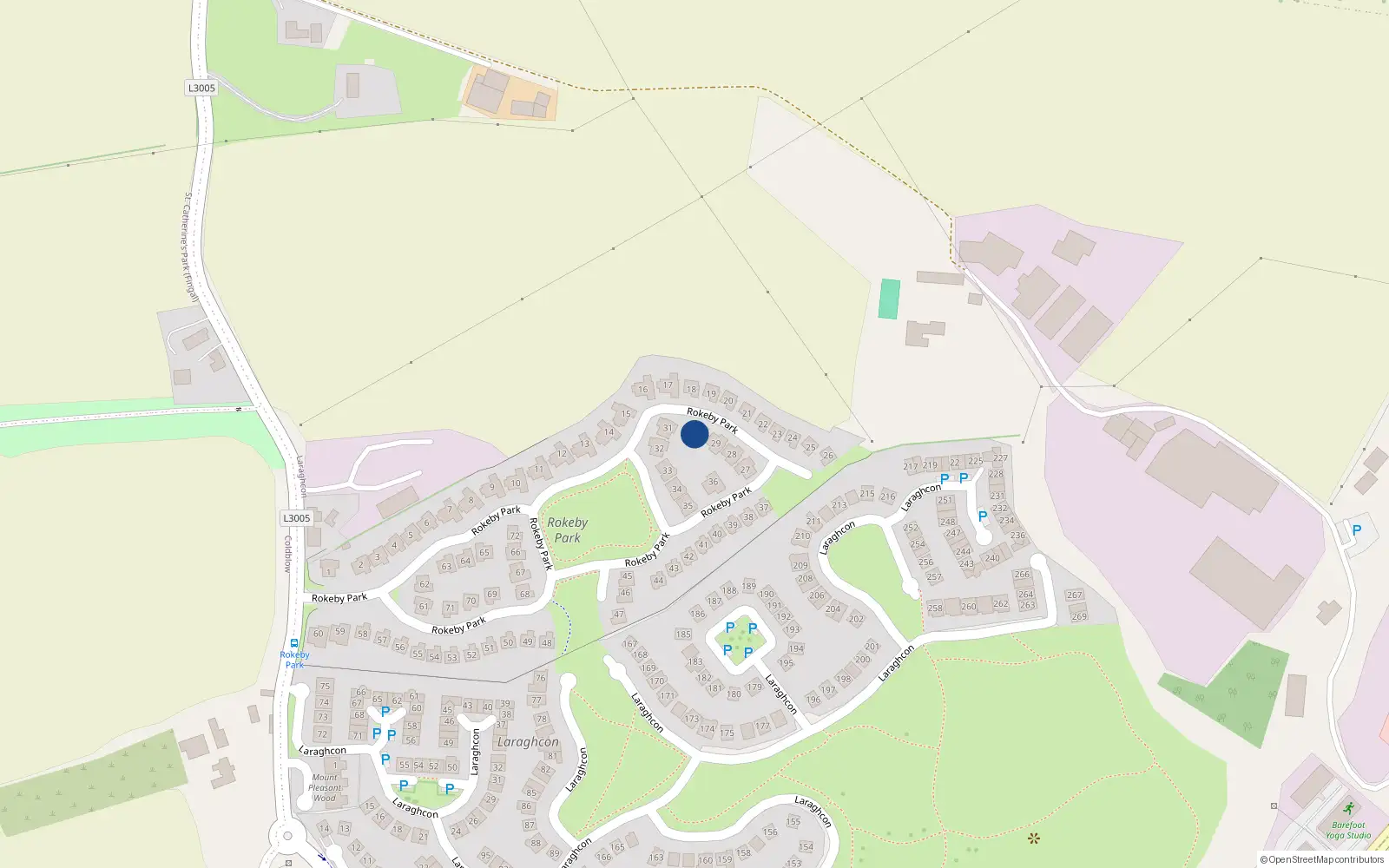 Overhead map showing the location of 30 Rokeby Park, Lucan