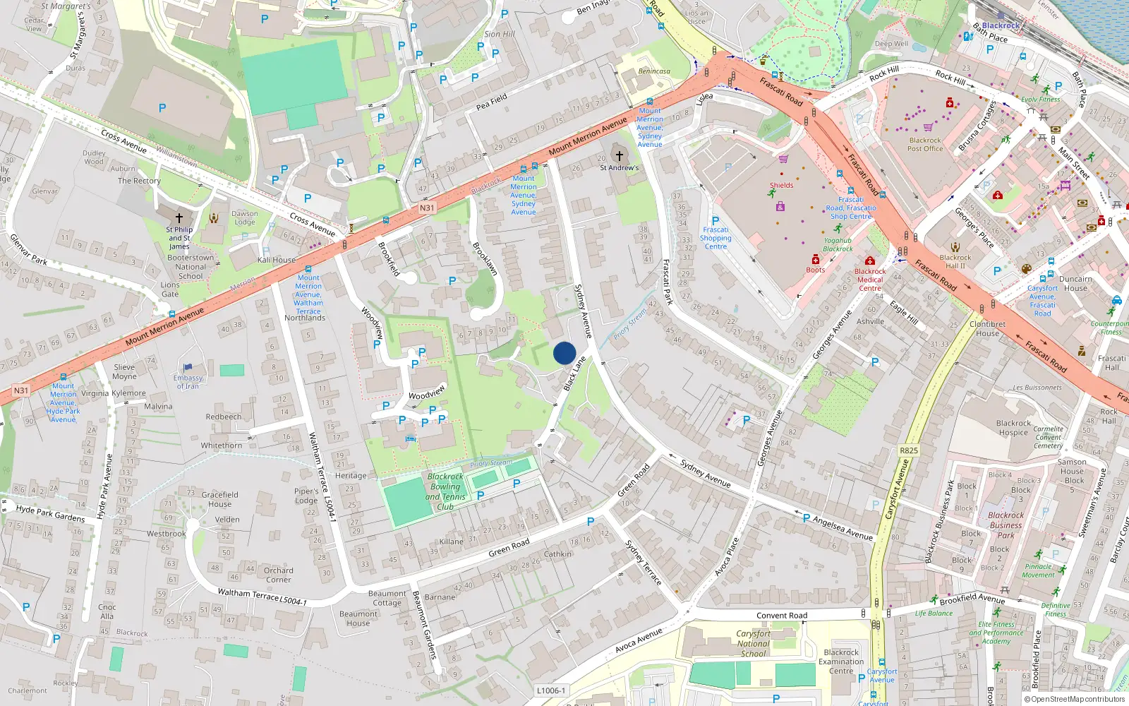Overhead map showing the location of 30 Sydney Avenue, Blackrock