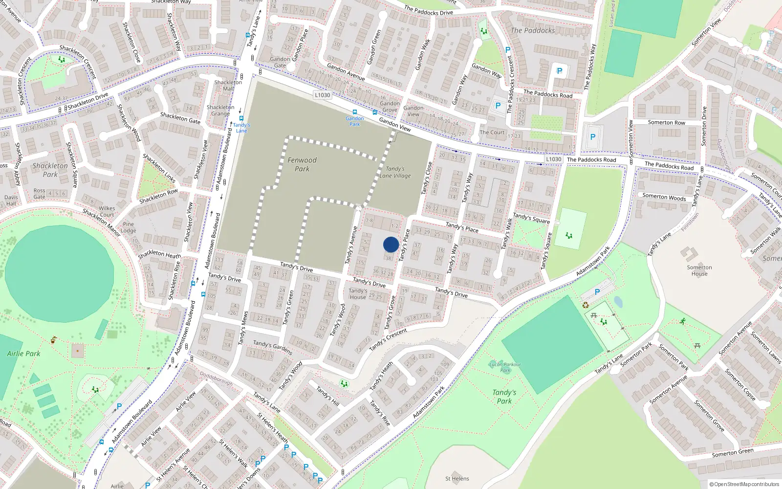 Overhead map showing the location of 30 Tandy's Place, Lucan