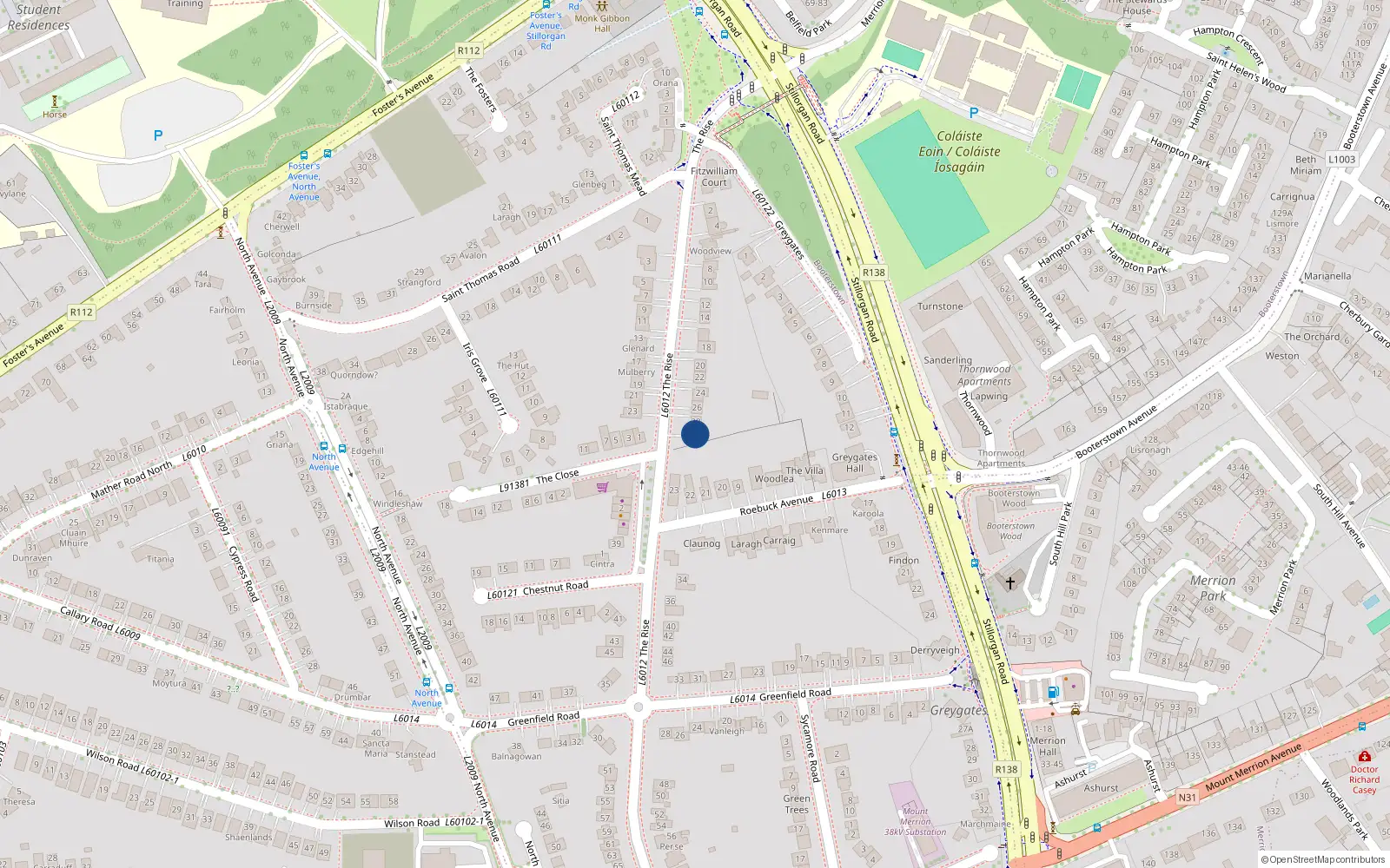 Overhead map showing the location of 30 The Rise, Blackrock
