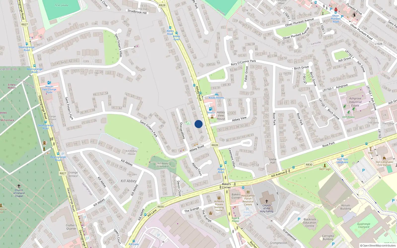 Overhead map showing the location of 31 Abbey Road, Monkstown