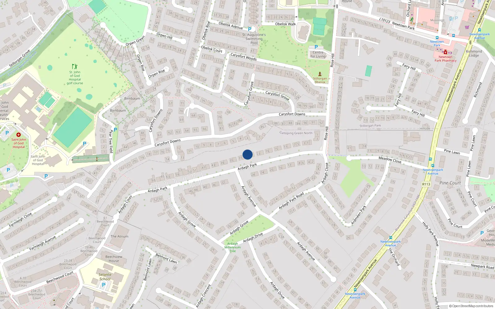 Overhead map showing the location of 31 Ardagh Park, Blackrock