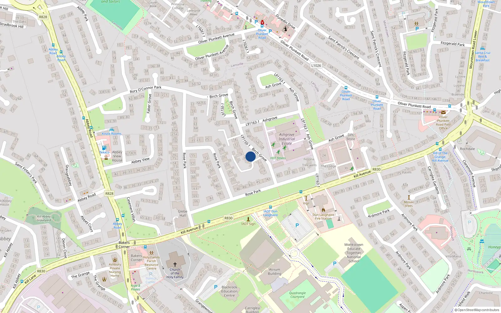 Overhead map showing the location of 31 Birch Grove, Dun Laoghaire