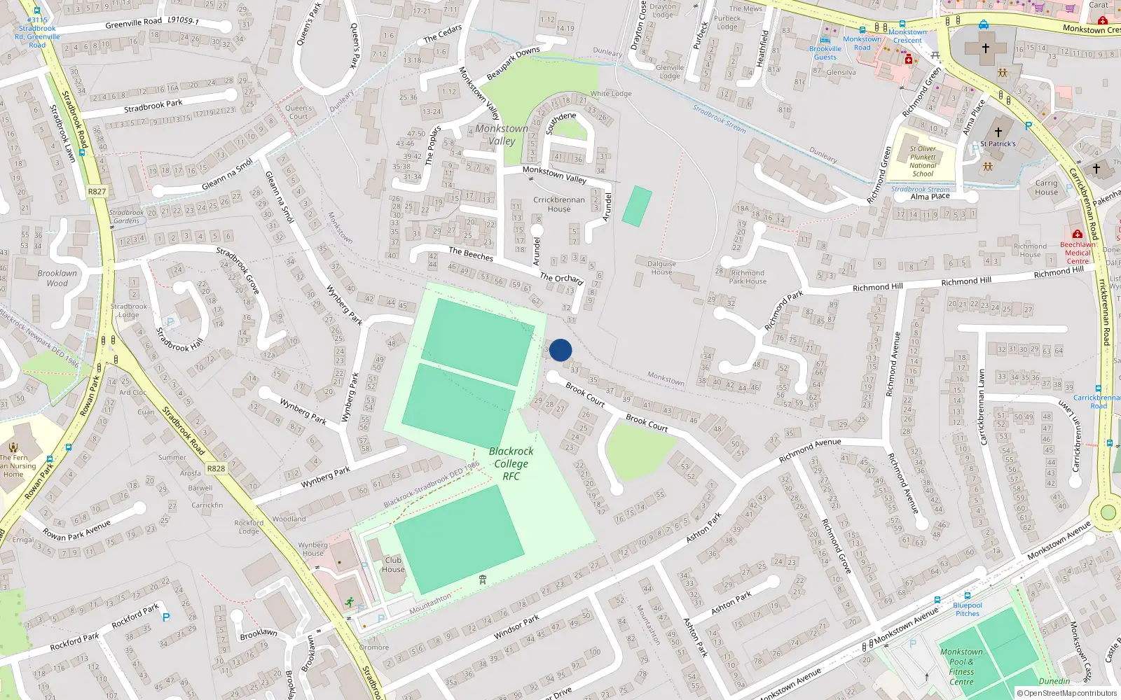 Overhead map showing the location of 31 Brook Court, Monkstown