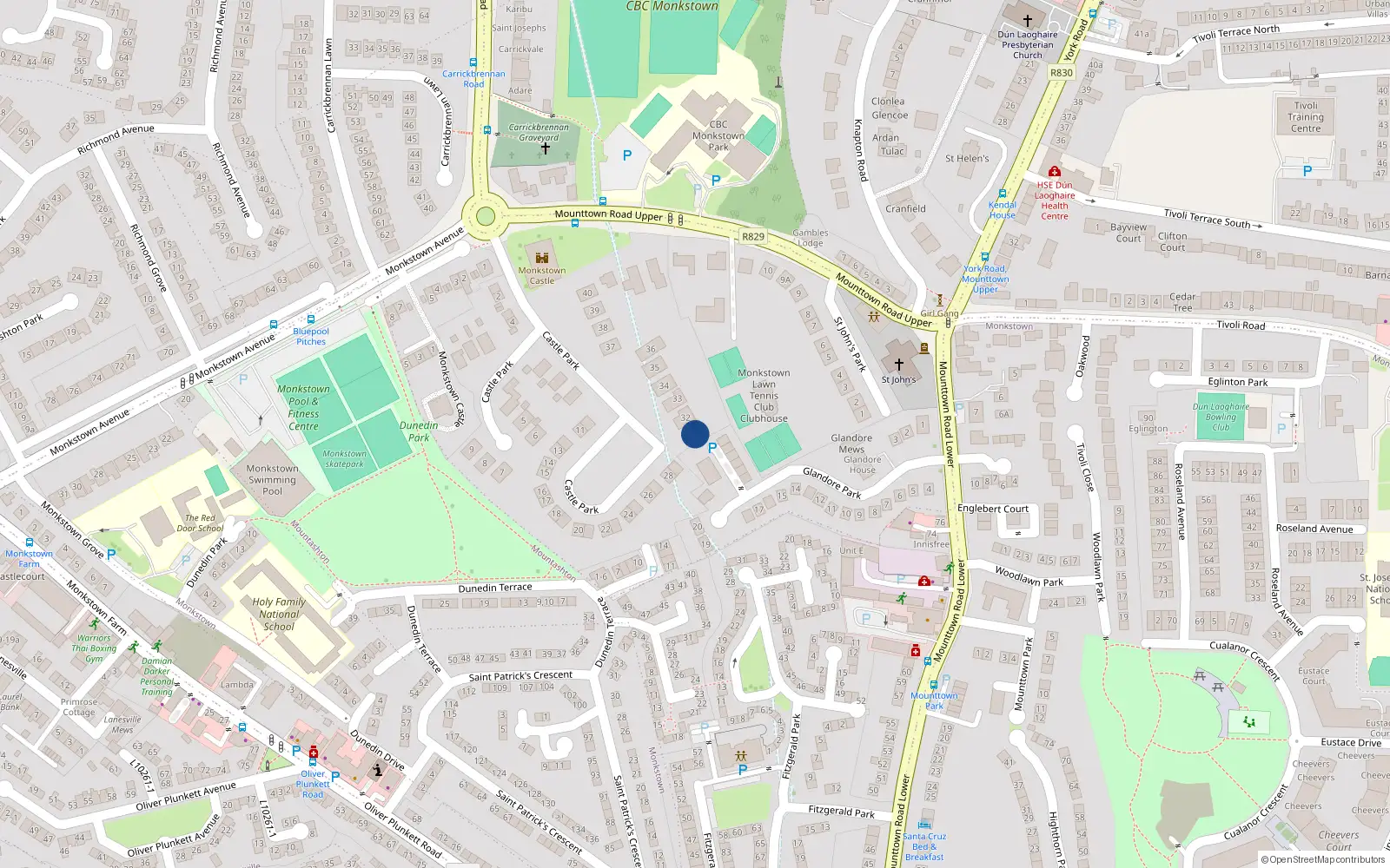 Overhead map showing the location of 31 Castle Park, Monkstown