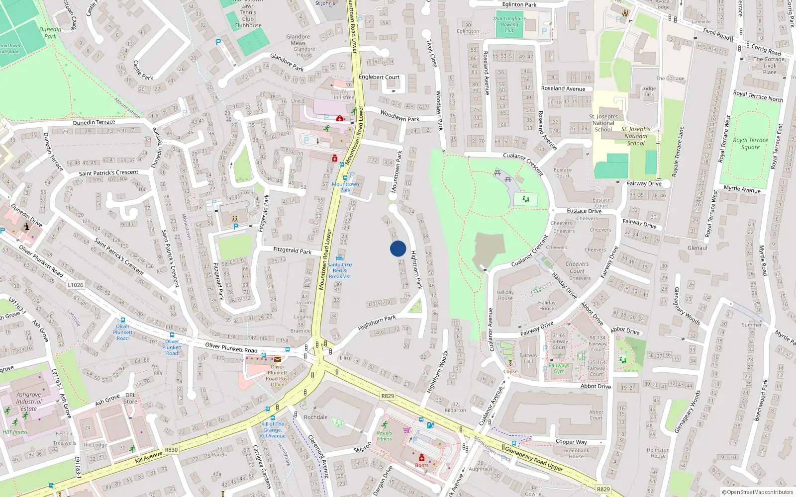 Overhead map showing the location of 31 Highthorn Park, Monkstown
