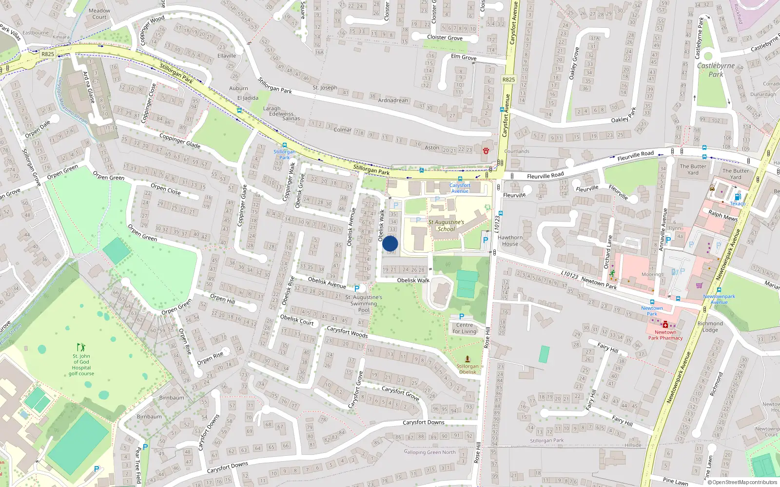 Overhead map showing the location of 31 Obelisk Walk, Carysfort Avenue, Blackrock