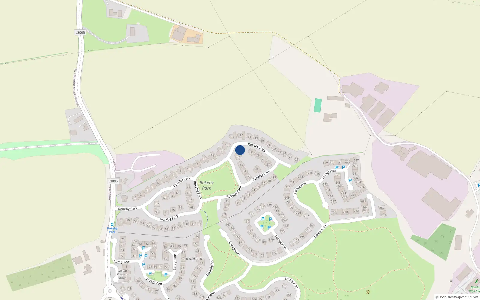 Overhead map showing the location of 31 Rokeby Park, Lucan