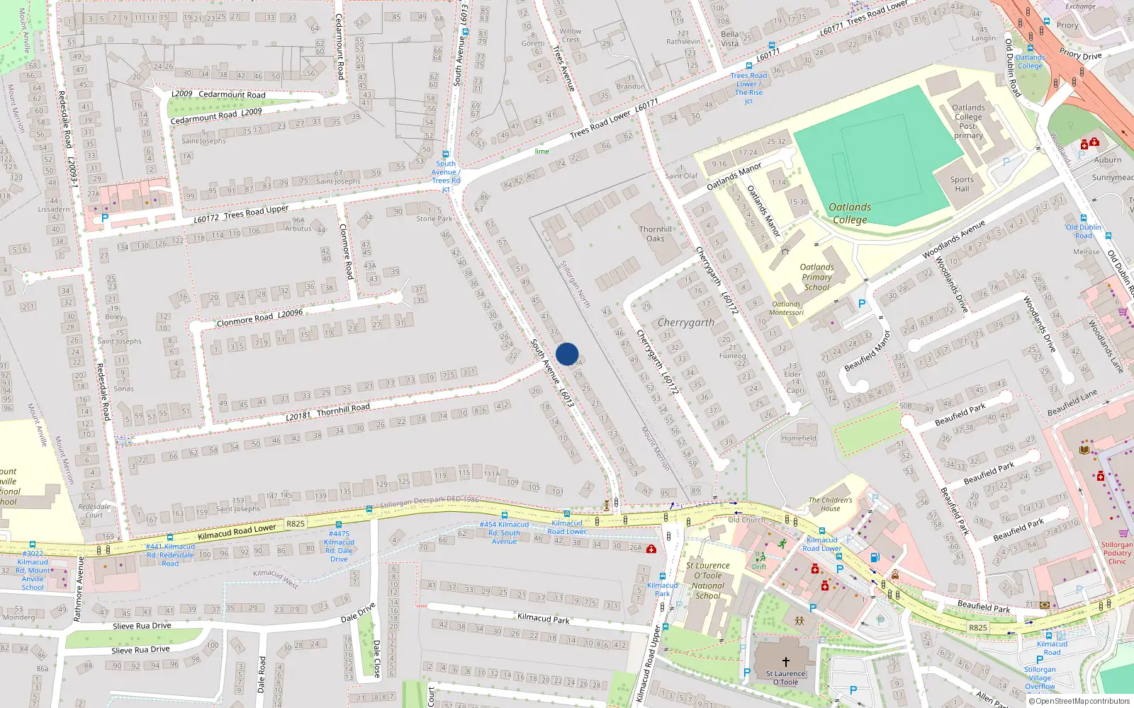 Overhead map showing the location of 31 South Avenue, Mount Merrion, Dublin