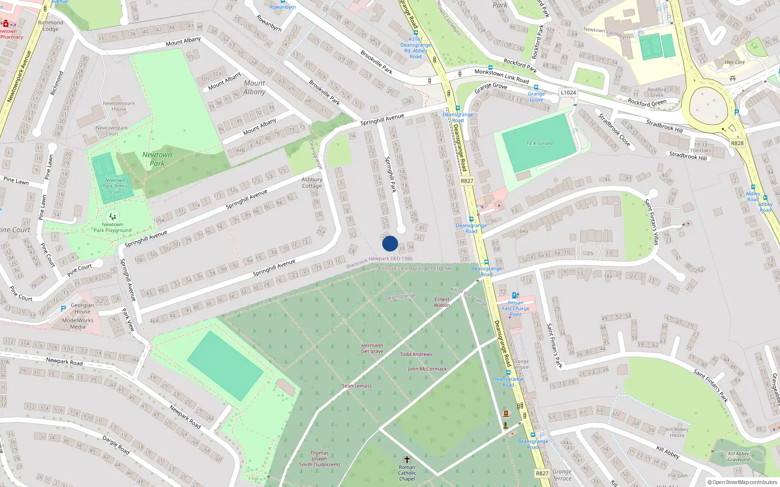 Overhead map showing the location of 31 Springhill Park, Kill of the Grange