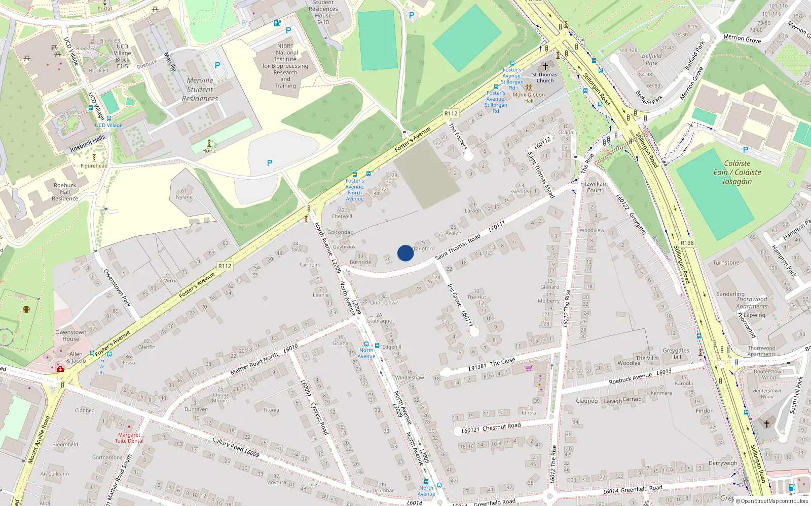 Overhead map showing the location of 31 St Thomas Road, Mount Merrion