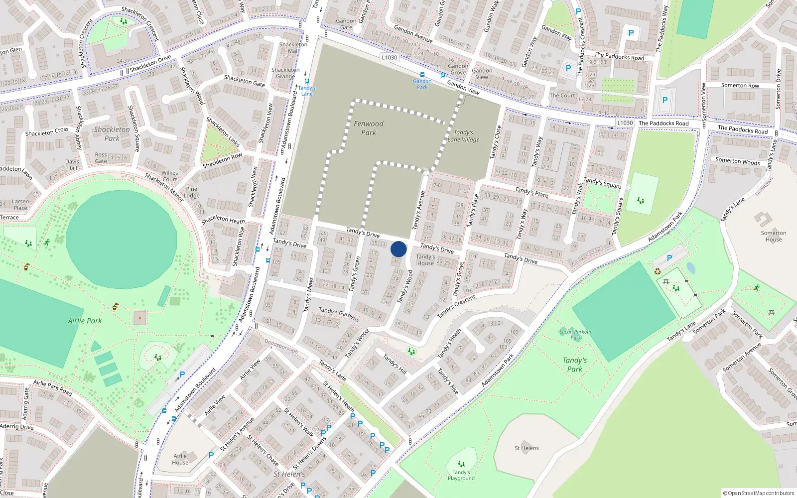 Overhead map showing the location of 31 Tandy's Drive, Adamstown, Lucan