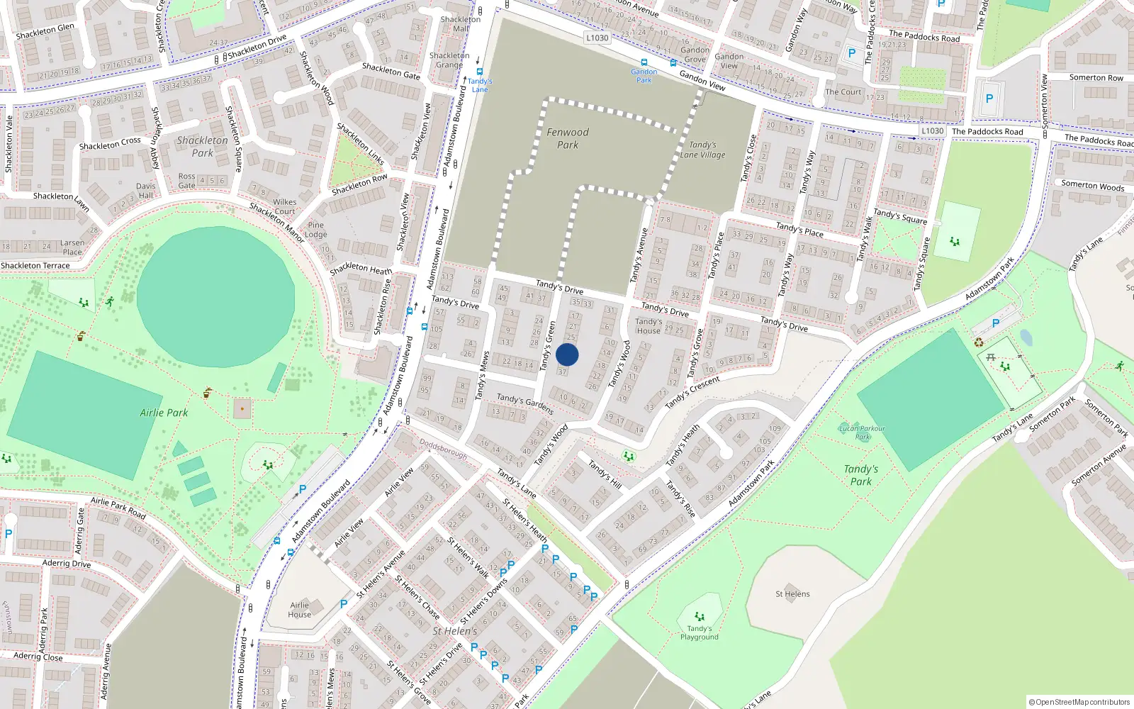Overhead map showing the location of 31 Tandy's Green, Adamstown, Lucan