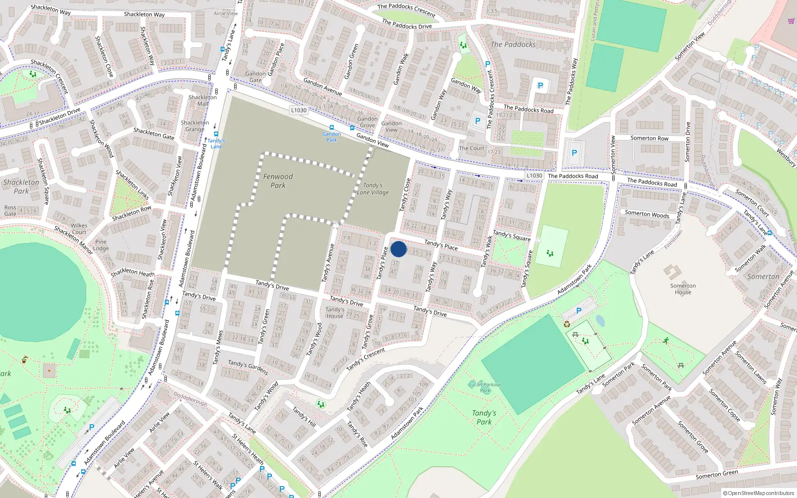 Overhead map showing the location of 31 Tandy's Place, Lucan