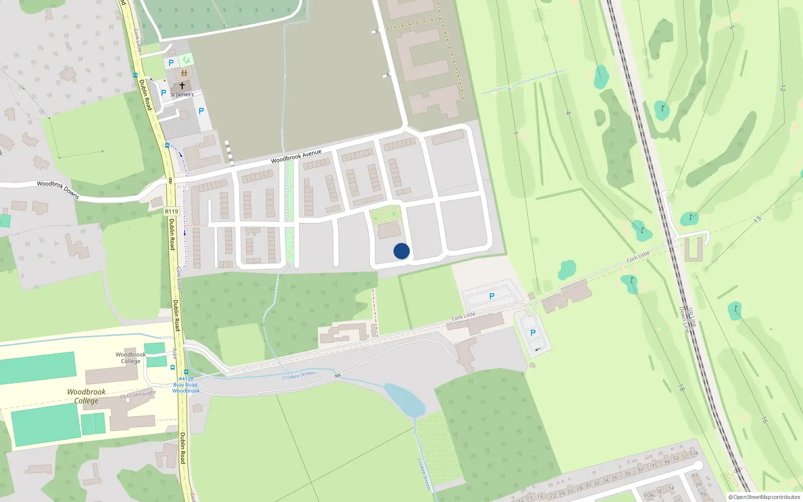 Overhead map showing the location of 31 Woodbrook, Shankill
